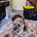 Loretta Hammond - @lorettahammond24 - Instagram