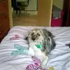 Loretta Hammond - @loretta.hammond6 - TikTok