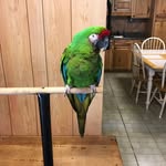 Loretta Ann Hamrick - @loriann3056kf - Instagram