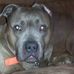 Loretta Hardesty - Facebook