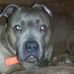 Loretta Hardesty - Facebook