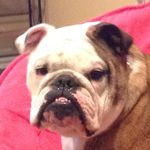 Loretta Heckelmann - @loretta_knott_heckelmann - Instagram