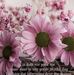 Loretta Hendricks - Facebook