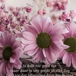 Loretta Hendricks - @hendricksloretta - Instagram