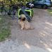 Lotta Herbst - Facebook