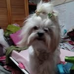 Loretta Herrera - @herreraloretta016 - Instagram