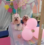 Loretta Herrera - Facebook