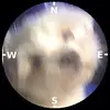 lorettahinton - @lorettahinton - TikTok