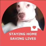 Loretta howell - @lorettahowell68 - Instagram