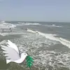 Loretta Hunter - @user1171800987419 - TikTok