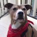Loretta Hurley - Facebook