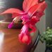 Loretta Hurley Dotson - Facebook