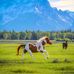 Loretta Hurley Photography - Facebook