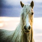 Loretta Hurley Photography - @lorettahurleyphotography - Instagram