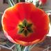 Loretta Johnston - Facebook