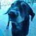 Loretta Kay Mickey - Facebook