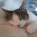 Loretta Keegan - Facebook