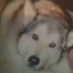 Loretta Hatton Kelley - @loretta.kelley.129 - Instagram