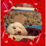 Loretta Kelley - @suggarrs54321 - Instagram