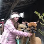 AyleenWilhelm - @loretta_das_kleine_alpaka - Instagram