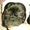 Luna e Loretta - @lorettaklein5 - TikTok