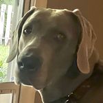 Loretta Slann Knowles - @knowlesloretta - Instagram