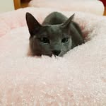 Loretta Lai - @loretta.lai - Instagram