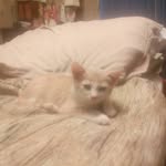 Loretta   Lambert - @mikey_putt_putt - Instagram