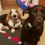 Loretta Holt Lambert - @lorettaholtlambert - Instagram