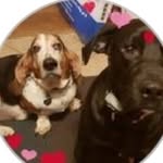 Loretta Holt Lambert - @lorettaholtlambert9 - Instagram
