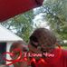 Loretta Lanier - Facebook