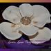 Loretta Lanier Party Design - Facebook