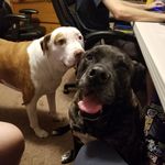 Loretta Latta - @pyeretta - Instagram