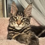 LongLeggedLoretta - @longleggedloretta - Instagram