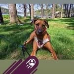 Loretta leggore - @leggorejeanloretta69 - Instagram