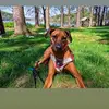 LorettajeanLeggore - @lorettaleggore - TikTok