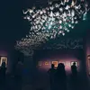 leonardaloretta - @leonardaloretta - TikTok