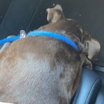 Loretta Light - @gotti_and_tobi_cerpa - Instagram