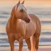 lunaloretta177 - @lunaloretta177 - TikTok