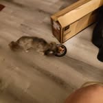 Loretta Luttrell - @lorettaluttrell3 - Instagram