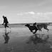Loretta Lyons Dowd - Facebook