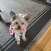 lorettambacon - @lorettambacon - TikTok