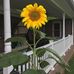 Loretta Madison - Facebook