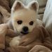 Loretta Walters Malcolm - Facebook