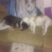 Loretta Maldonado - Facebook