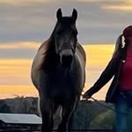 Loretta Malone - @100690malone - Instagram
