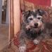 Loretta Malone - Facebook