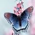 Loretta Malone - Facebook