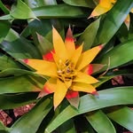 Loretta Manning - @loretta.manning.568 - Instagram
