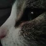Loretta Mannucci - @lorettamannucci - Instagram